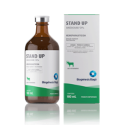 STAND UP 100 ML