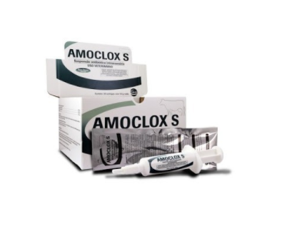 AMOCLOX S 7GR