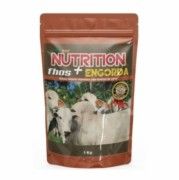 NUTRITION FHOS ENGORDA NUTRITION FHOS ENGORDA