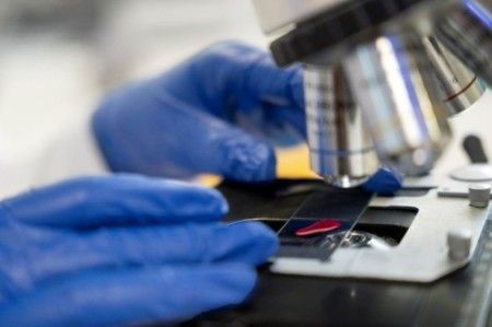 ISO/IEC 17025:2017|Requisitos gerais - laboratórios de ensaio e calibração|Interpretação