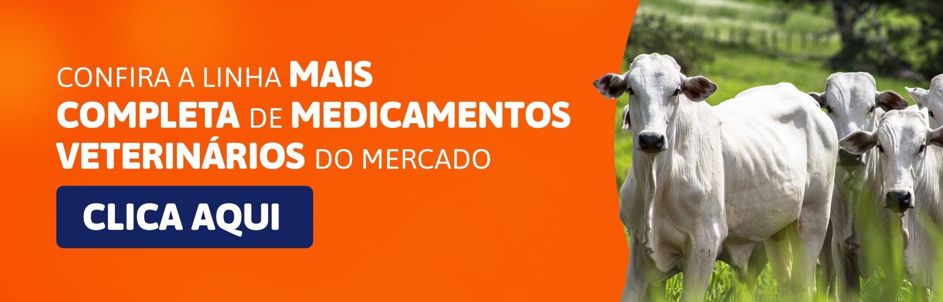 Medicamento Veterinário
