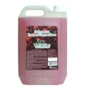 Sabonete Liquido Frutas Vermelhas Verdesan 5 L