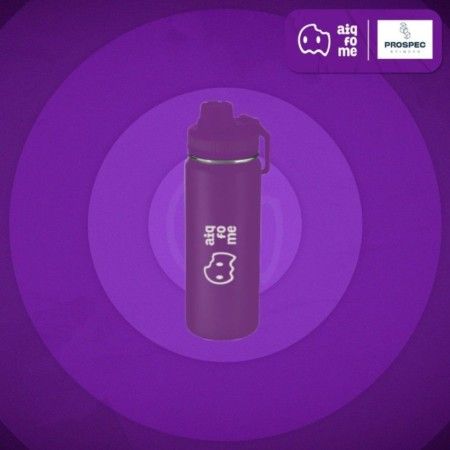 Garrafa Térmica 570ml - 10 Unid. - Prospec Brindes