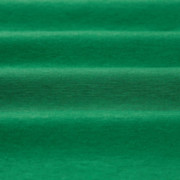 102.08es-vd2002 Ribana 1X1 PV -  Verde Bandeira PV