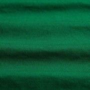 Ribana 1X1 Poliéster Dry -  Verde Bandeira