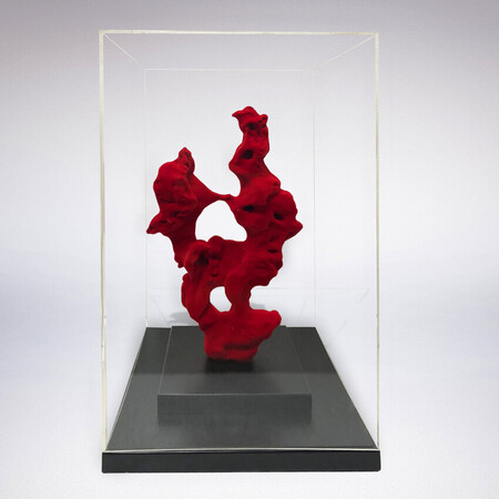 Escultura Decor Caixa em Acrílico Forma Coral
