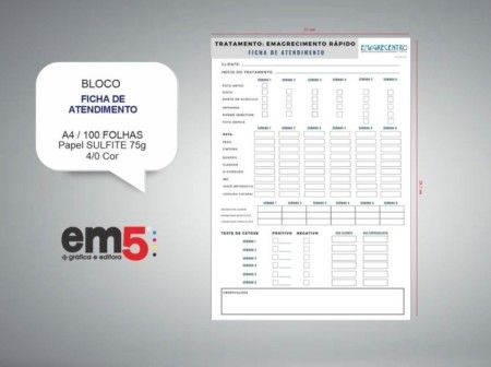 FICHA DE ATENDIMENTO MODELO 2