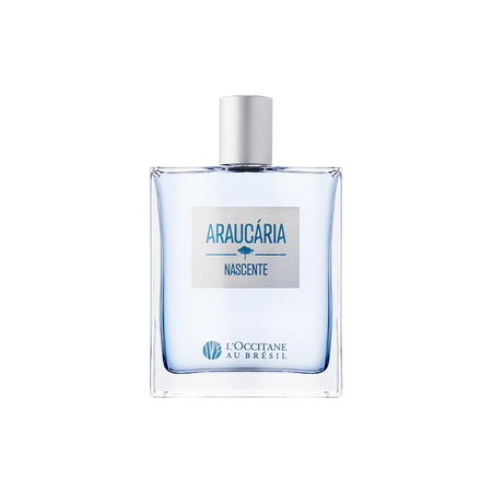 Araucária Nascente Deo Colônia L'Occitane Au Brésil -  Perfume Masculino100ml