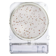 Compactdry TC (Contagem Total)