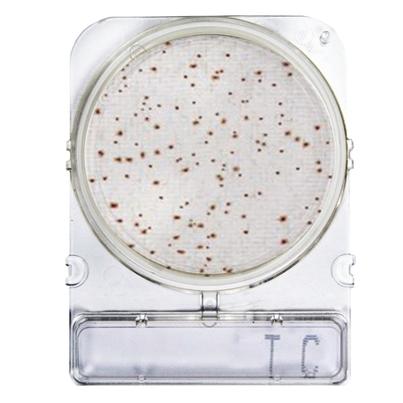 Compactdry TC (Contagem Total)