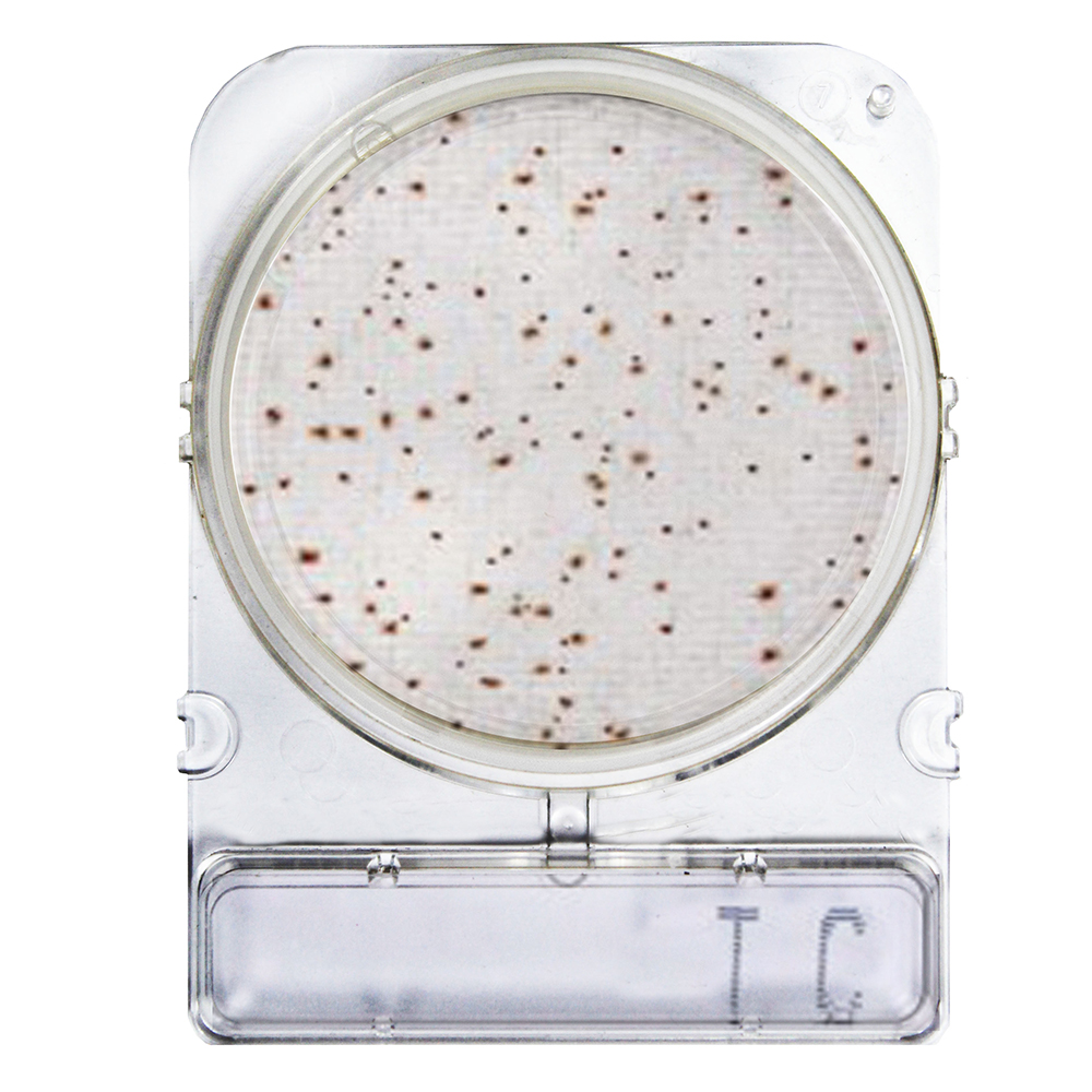 Compactdry TC (Contagem Total)