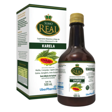 SUMO REAL AMARGO SUPLEMENTO DE MELAO 500ML