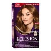 TINT.KOLESTON KIT 53 CASTANHO OURO