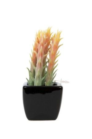 PLANTA SUCULENTA 19CM AZUL/VERDE