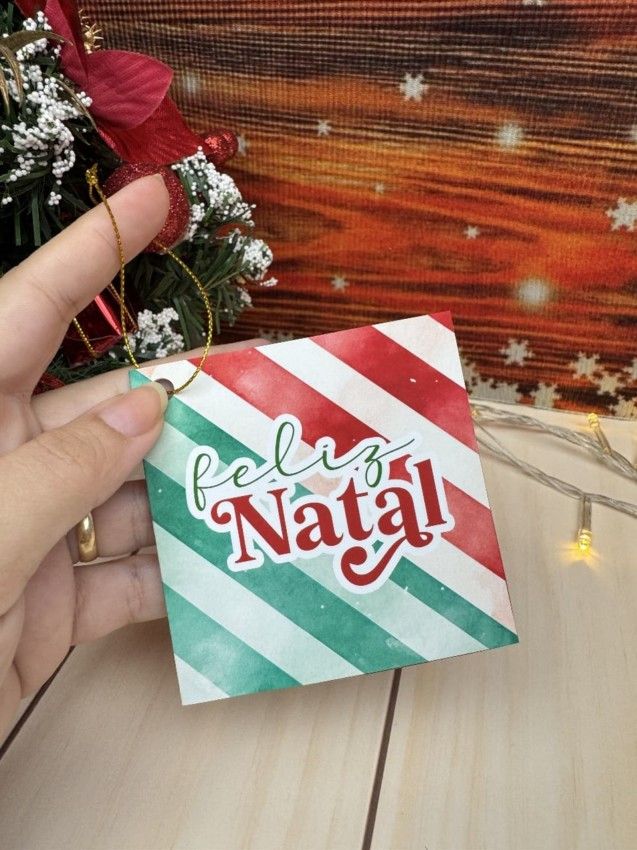 Cartão presente - Natal Noel 2024