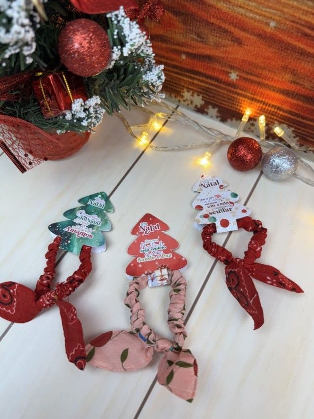 Tag xuxinha - Natal Noel 2024