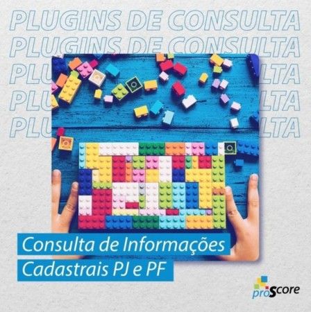 Consulta Cadastro PJ e PF – Escala Volumétrica - Proscore