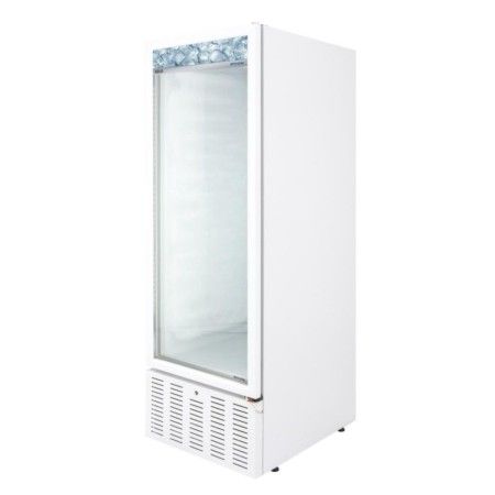 Conservador de Gelo 575 Litros Com 1 Porta de Vidro 220V