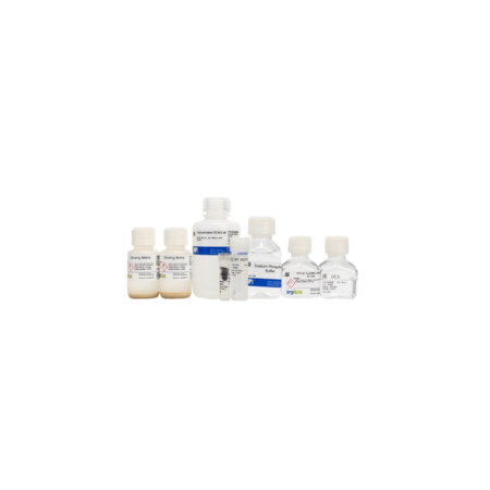 FastDNA<191> 2 mL SPIN Kit for Soil - MPBIO