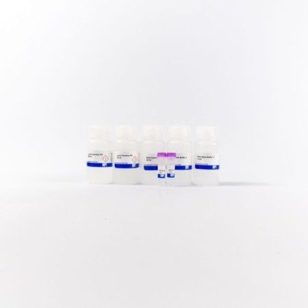 RapidPure<191> RNA Tissue Kit