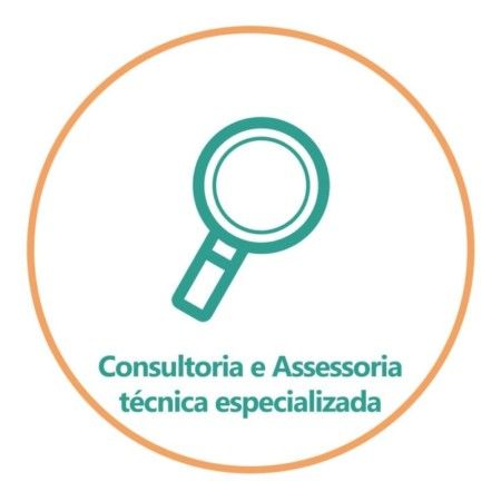 Consultoria e Assessoria técnica