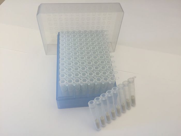Lysing Matrix E, 96-Well Rack (1.2 mL) - MPBIO - 96 x 1.2 mL tubes (10 ...