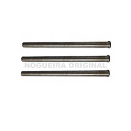 PINO DOS MARTELOS TN-8