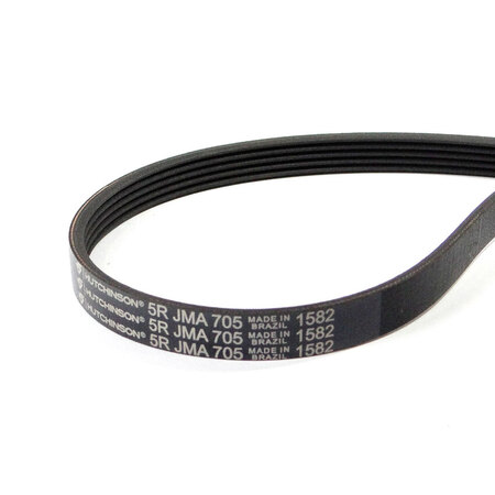 CORREIA KIN AMANDI YASMIM 10KG
