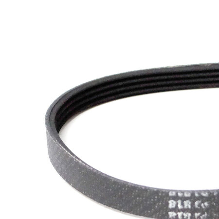 CORREIA MUELLER FAMILY