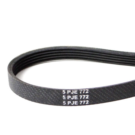 CORREIA ARNO INTENSE 05PJ772