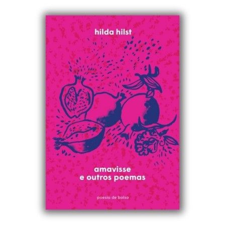 Livro - Amavisse e outos poemas