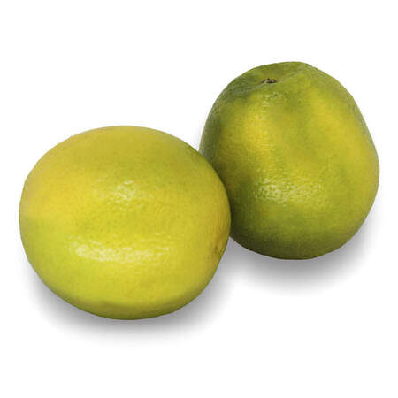 Laranja Pera Kg