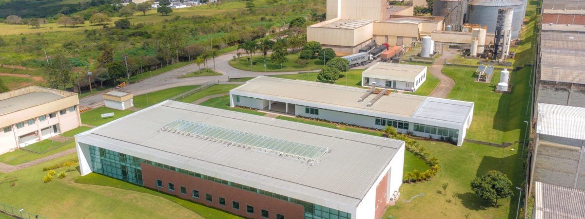 Equipe Natto em ação