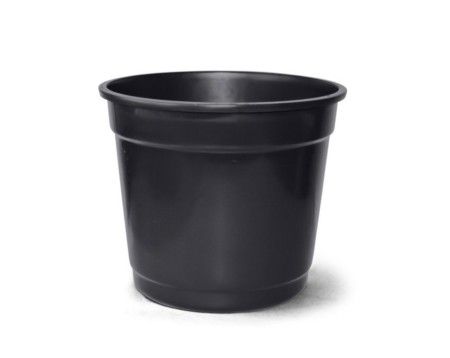 Vaso 05 - Preto c/6 un.