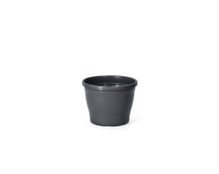 Vaso Primavera 02 - Preto c/12 un.