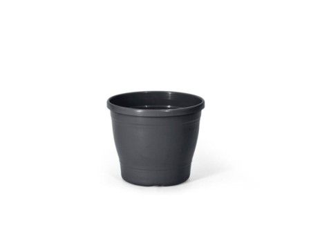 Vaso Primavera 04 - Preto c/12 un.