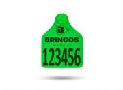 BRINCO BOVINO G VERDE - Brincos Manejo