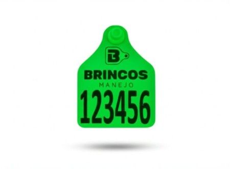 BRINCO BOVINO G VERDE - Brincos Manejo
