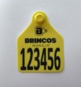 BRINCO BOVINO G AMARELO - Brincos Manejo