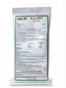 B-LACMOX 75 - Antimicrobiano bactericida
