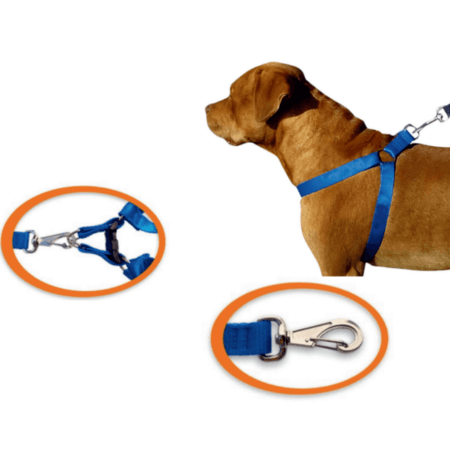 PEITORAL PITBULL F30 (EMB 06)