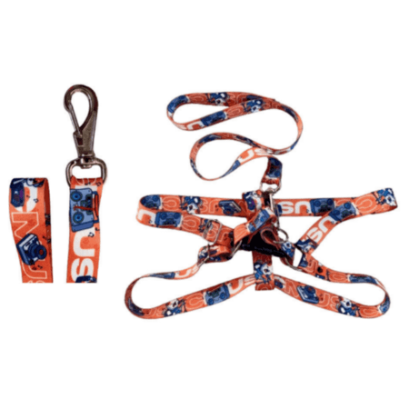 PEITORAL GRANDE PORTE SEDA F25 (EMB 06)