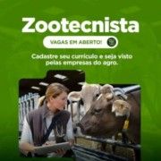 Faça o Upload do seu currículo aqui