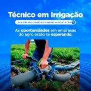 Faça o Upload do seu currículo aqui