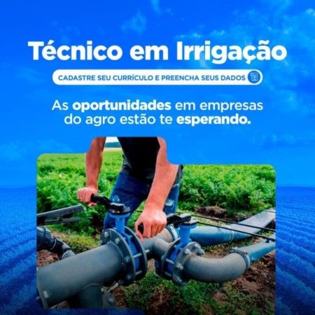 Faça o Upload do seu currículo aqui