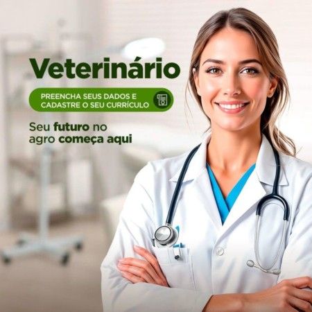 Faça o Upload do seu currículo aqui