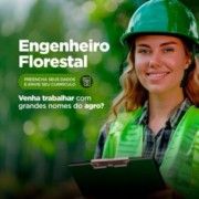 Faça o Upload do seu currículo aqui