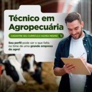 Faça o Upload do seu currículo aqui