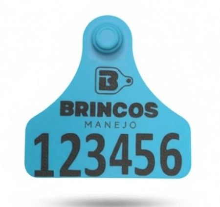 BRINCO BOVINO M AZUL - Brincos Manejo