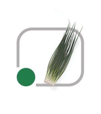 Cebolinha Midorikawa Horticeres 100g